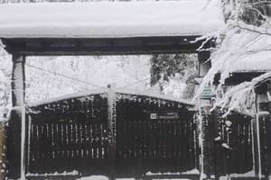 Кришталеве джерело 4