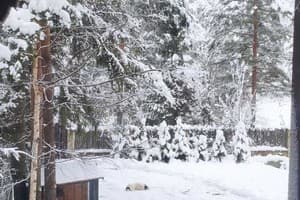 Кришталеве джерело 12