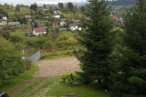 Крокус Мия 5