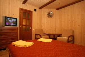 Гостиный двор Круг друзей. Полулюкс двухместный с камином 3