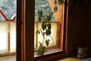 Частная усадьба Крутогора. Четырехместный 5