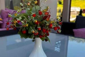 Купецький Двір 5