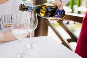 Kyivska Russ Resort Medical&Spa 9