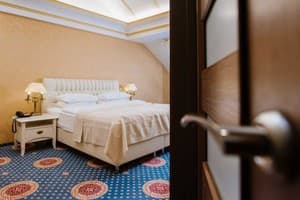 Kyivska Russ Resort Medical&Spa 11