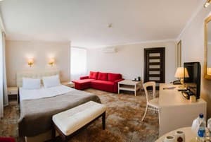 Kyivska Russ Resort Medical&Spa 29