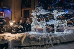 Kyivska Russ Resort Medical&Spa 53