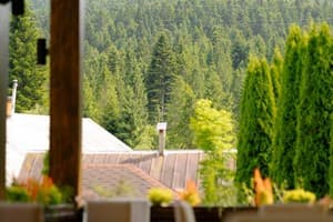 Kyivska Russ Resort Medical&Spa 59