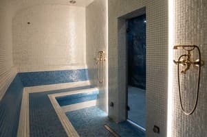 Kyivska Russ Resort Medical&Spa 111