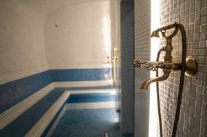 Kyivska Russ Resort Medical&Spa 109