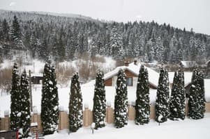 Kyivska Russ Resort Medical&Spa 118