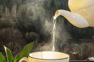 Kyivska Russ Resort Medical&Spa 131