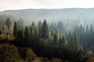 Kyivska Russ Resort Medical&Spa 132