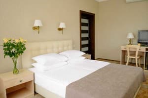 Санаторий Kyivska Russ Resort Medical&Spa. Люкс двухместный  8
