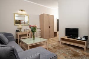 Санаторий Kyivska Russ Resort Medical&Spa. Люкс двухместный  6