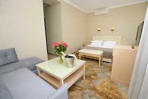 Санаторий Kyivska Russ Resort Medical&Spa. Полулюкс двухместный Premium  7