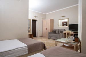 Санаторий Kyivska Russ Resort Medical&Spa. Полулюкс двухместный Premium  3