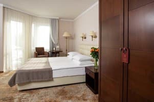 Санаторий Kyivska Russ Resort Medical&Spa. Стандарт двухместный Premium с видом на горы 2