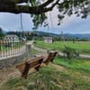 Lavanda cottage 21-22/33