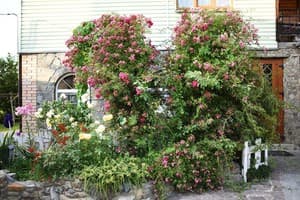 Лавандовая усадьба 1