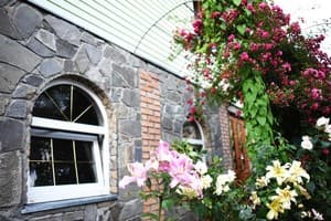 Лавандовая усадьба 9