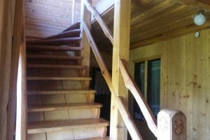 Лесная Тишина 2