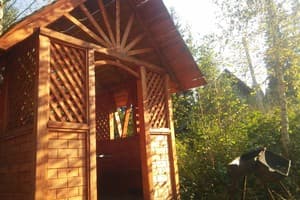 Лесная Тишина 2