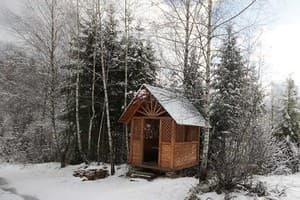 Лесная Тишина 5