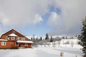 Лесная Тишина 6