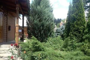 Лесная песня 1