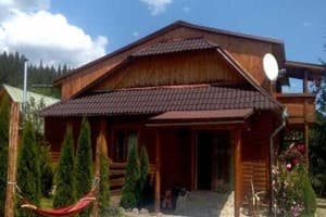 Лесная песня 9