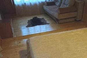 Частная усадьба Лесная песня. Эконом трехместный  2