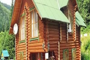 Лесная сказка 1