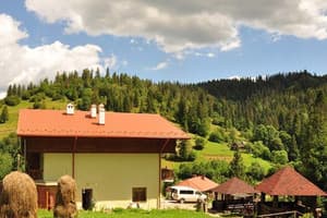 Лесная сказка у пани Стефании 12