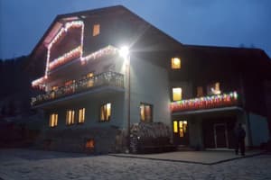 Лесная сказка у пани Стефании 7