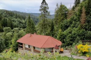 Лесная сказка у пани Стефании 7