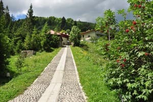 Лесная сказка у пани Стефании 9