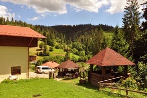 Лесная сказка у пани Стефании 10