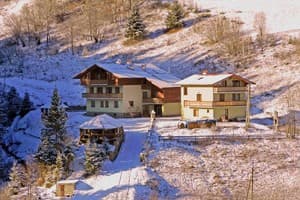 Лесная сказка у пани Стефании 11