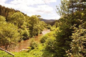 Лесная сказка у пани Стефании 11