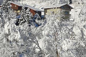 Лесная сказка у пани Стефании 15