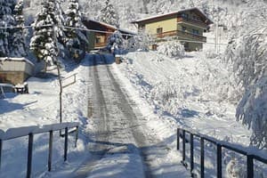 Лесная сказка у пани Стефании 14