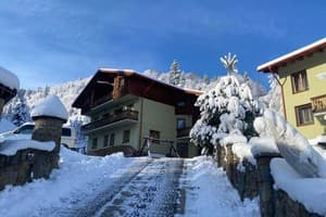 Лесная сказка у пани Стефании 10