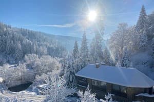 Лесная сказка у пани Стефании 12