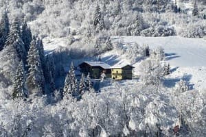 Лесная сказка у пани Стефании 17