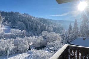 Лесная сказка у пани Стефании 16