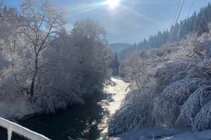 Лесная сказка у пани Стефании 13