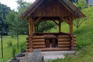 Лесная тишина 1