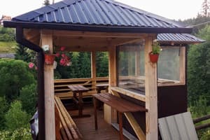 Лесная ягода 21