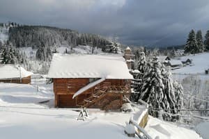 Коттедж Лесная ягода