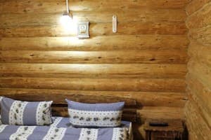 Лесная ягода 2